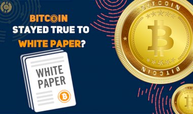 Has Bitcoin Stayed True to Its White Paper?