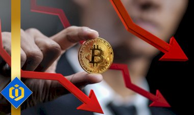 Bitcoin Might Hit $29K, Analysts Say