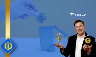 What Will Be Tesla’s Crypto for Payments?