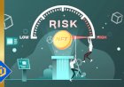 NFT Is Riskier Investment than Crypto; Report Says