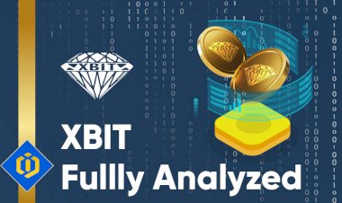 Xbit Fully Analyzed