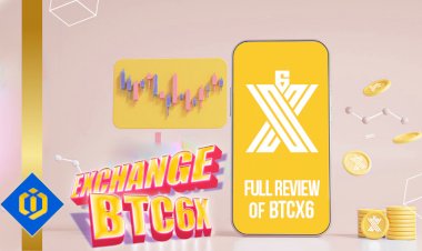 Full Review of BTC6X Exchange