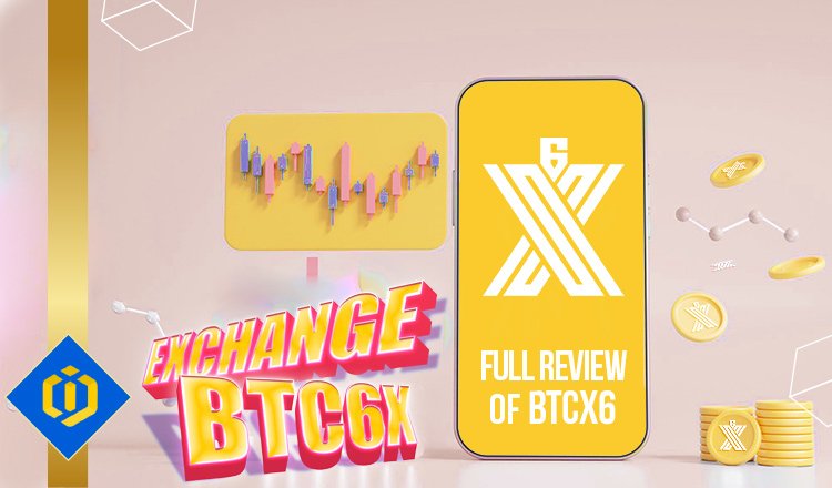 Full Review of BTC6X Exchange