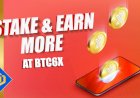 Staking Now Available at BTC6X Exchange