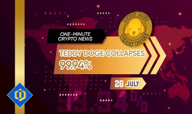 TEDDY Doge Collapses 99.94%