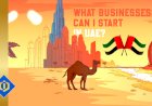 What Businesses Can I Start in UAE?