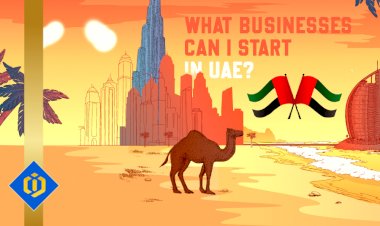 What Businesses Can I Start in UAE?