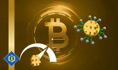 Centralization of Wallet Ownership and Hash Rate for Bitcoin