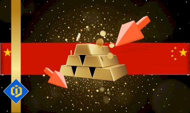 Rules and Regulations of Gold in China