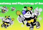 In-depth Analysis of Bees' Anatomy and Physiology