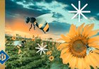 The Crucial Role of Bees in Pollinating Plants and Vegetation