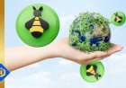 Why Bees Are Important for Ecosystems and Human Life