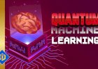 Applications of Quantum Machine Learning in Finance