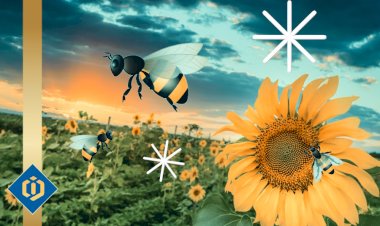 The Crucial Role of Bees in Pollinating Plants and Vegetation