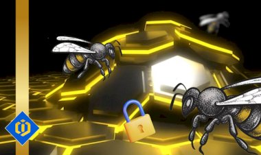 What Can Hackers Learn from Bees?