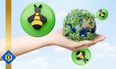 Why Bees Are Important for Ecosystems and Human Life