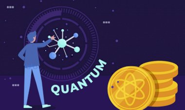 Potential Applications of Quantum Computing in Finance