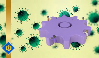 How Developing Countries Have Been Affected by Covid-19?