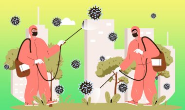 Job Market and How It Has Been Affected by Covid-19 Pandemic