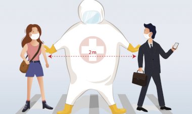 What Was the Role of Public Health Policies to Combat Covid-19?