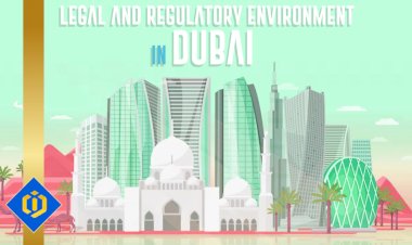 Understanding the Specific Laws and Regulations of  Dubai Free Zones