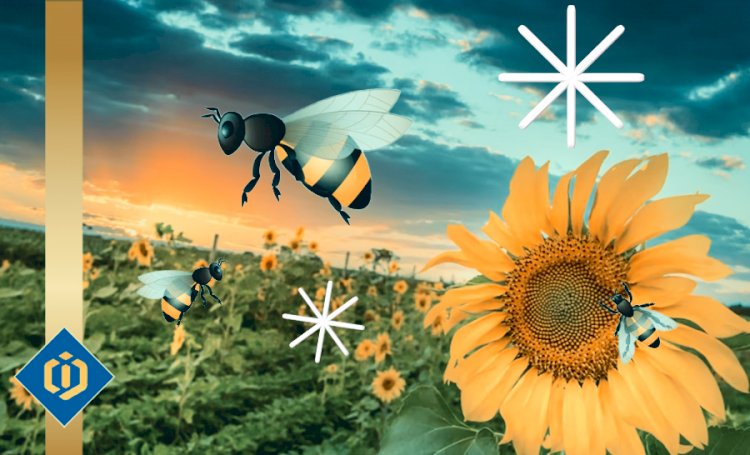The Crucial Role of Bees in Pollinating Plants and Vegetation