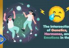 How Are the Genetics, Hormones, and Emotions Involved in the Metaverse?