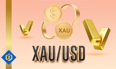 Trade XAU/USD Like a Pro with These Tips and Insights