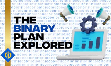 Multi-Level Marketing in the Form of the Binary Plan: a Deep Analysis