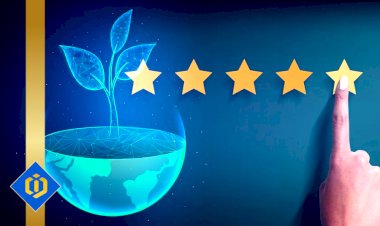 Fostering Connections and Amplifying Reputation: A Guided Approach
