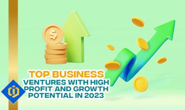 Unleashing Entrepreneurial Potential: Profitable and Scalable Business Ideas to Pursue
