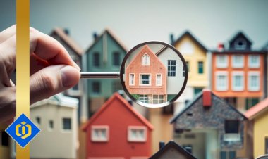 Unveiling the Influence of Local Expertise in Real Estate: A Comprehensive Examination