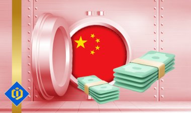 How China's Foreign Currency Reserves Affect the U.S.