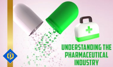 Demystifying the Pharmaceutical Sector: An Introductory Handbook for Economists