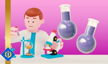 Behind the Scenes: Exploring the Intricate Path of a Drug from Laboratory Discovery to Pharmacy Shelves