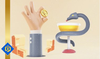 Navigating the Ethical Maze: Pharma's Quest for Profit and Patient Well-being