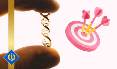 The Power of Collaboration: Exploring Strategic Alliances along the Gold Value Chain