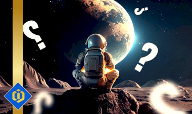 Unveiling the Illusion: An Exploration of the Reality Simulation Hypothesis