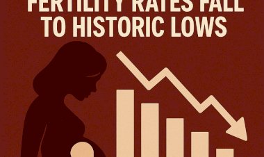 Global Baby Bust: Fertility Rates Fall to Historic Lows
