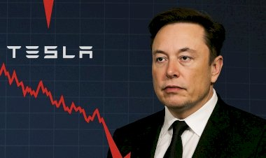 Tesla Shares Slide Amid CEO’s Political Ambitions and Market Challenges