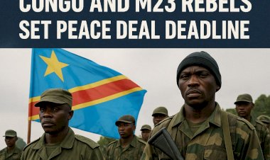 Breaking Ground: Congo and M23 Rebels Set Peace Deal Deadline