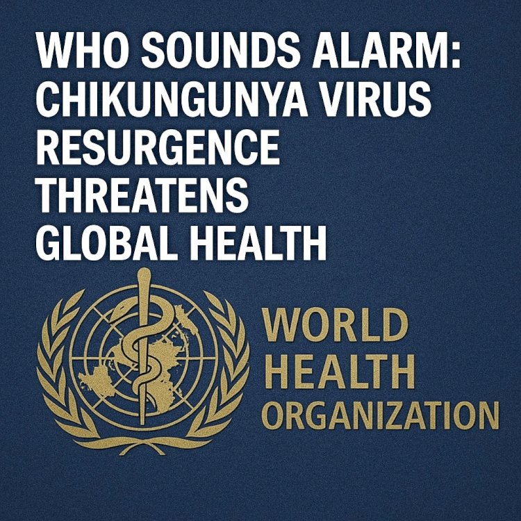 Urgent Warning: WHO Flags Chikungunya Virus Making a Strong Comeback