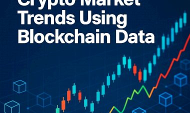 How to Analyze Crypto Market Trends Using Blockchain Data