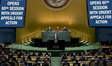 UN General Assembly Opens 80th Session with Urgent Appeals for Action