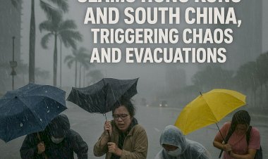 Typhoon Ragasa Slams Hong Kong and South China, Triggering Chaos and Evacuations