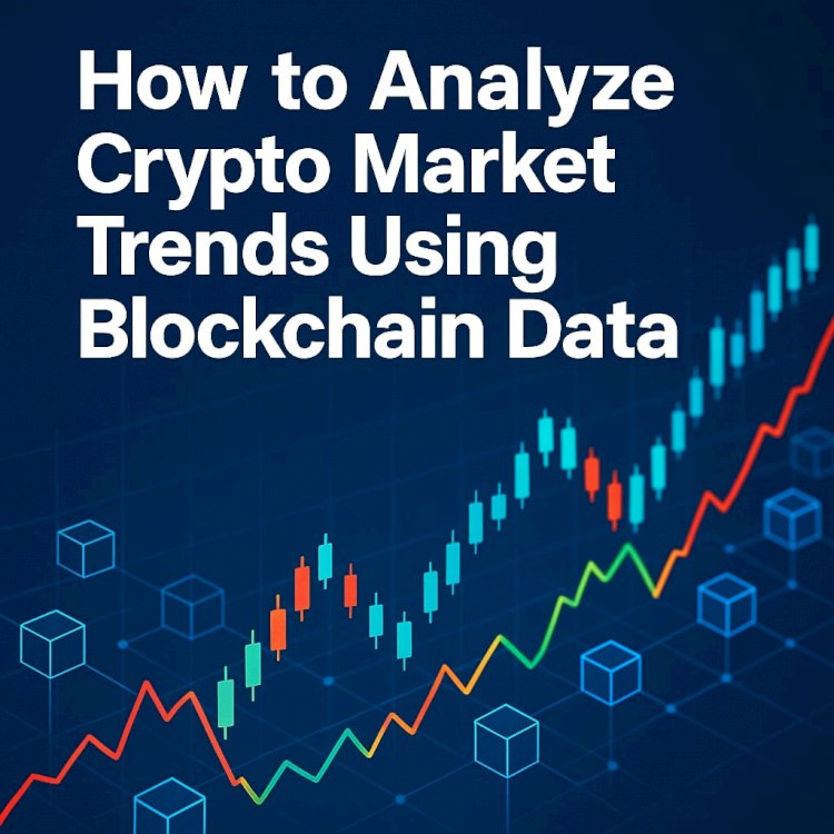 How to Analyze Crypto Market Trends Using Blockchain Data