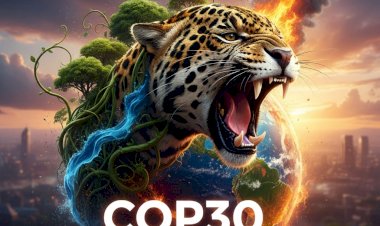 Amazon's Urgent Roar: COP30 Summit Ignites Flames of Global Climate Action