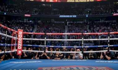 Joshua Obliterates Paul: British Heavyweight Legend KOs YouTuber in Round 3 to Silence Doubters