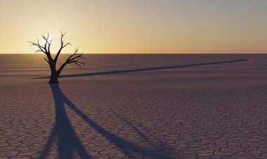 When the Shadows Grow Tall