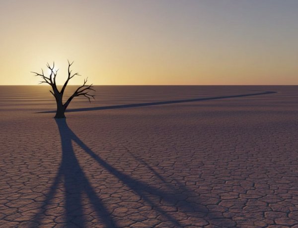 When the Shadows Grow Tall